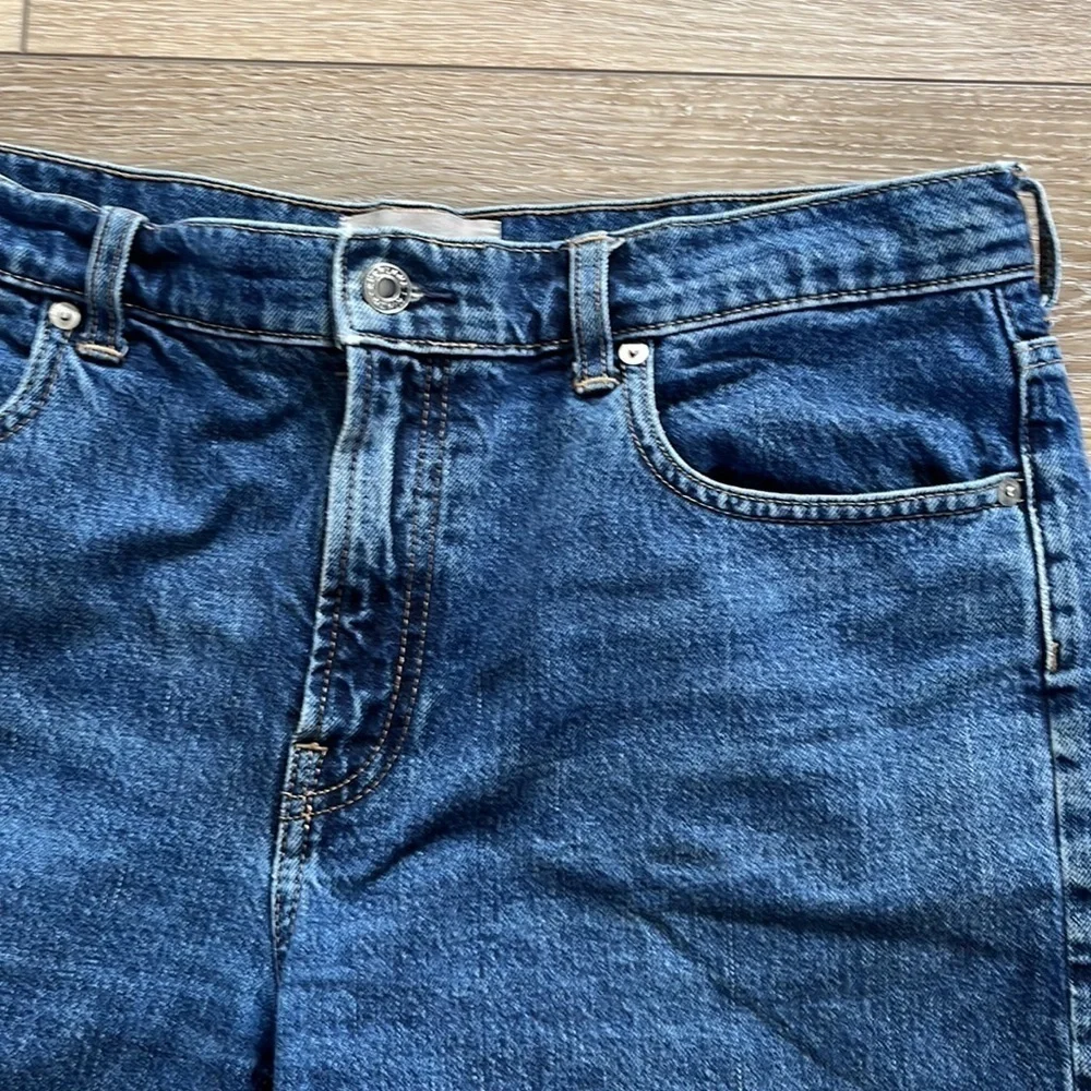 Everlane The Short Denim Jean Shorts